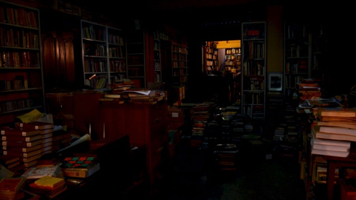  La librer&iacute;a que est&aacute; en el fondo de un espejo