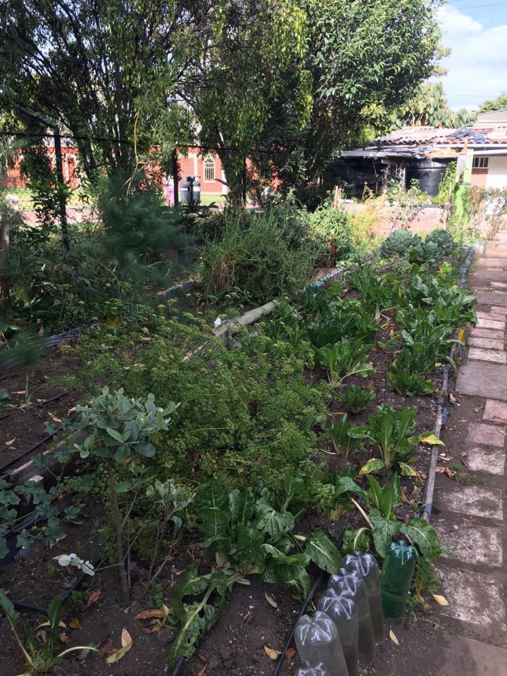 Huerta Junta de Acci&oacute;n Comunal de Marsella
