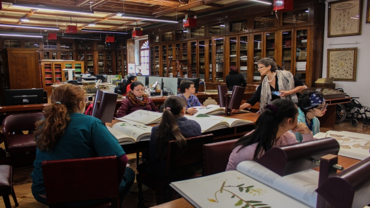 En la clase de expedici&oacute;n bot&aacute;nica los estudiantes, aprenden sobre turismo accesible e incluyente aprovechando los espacios patrimoniales del claustro de la Universidad del Rosario