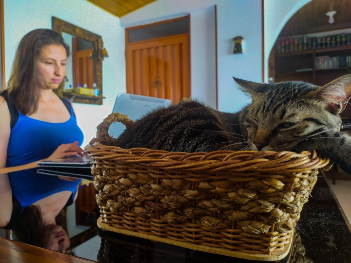 Trabajo en casa en compa&ntilde;&iacute;a de Fito / 11 am, 13 de abril