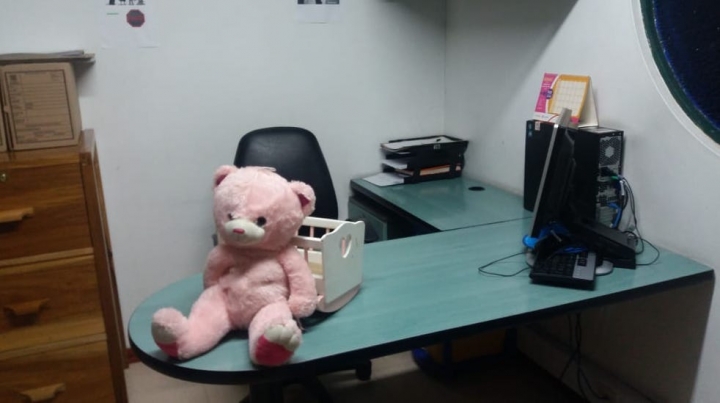 Juguetes de la comisar&iacute;a.