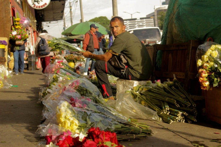Foto reportaje: Flores de todos los colores