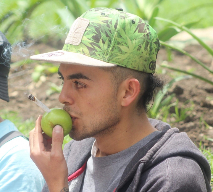 M&aacute;s de 200 bogotanos marcharon por la marihuana