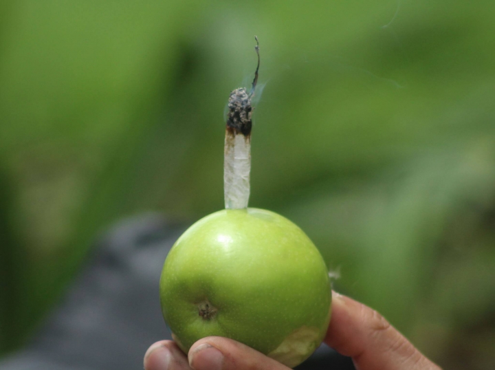 M&aacute;s de 200 bogotanos marcharon por la marihuana