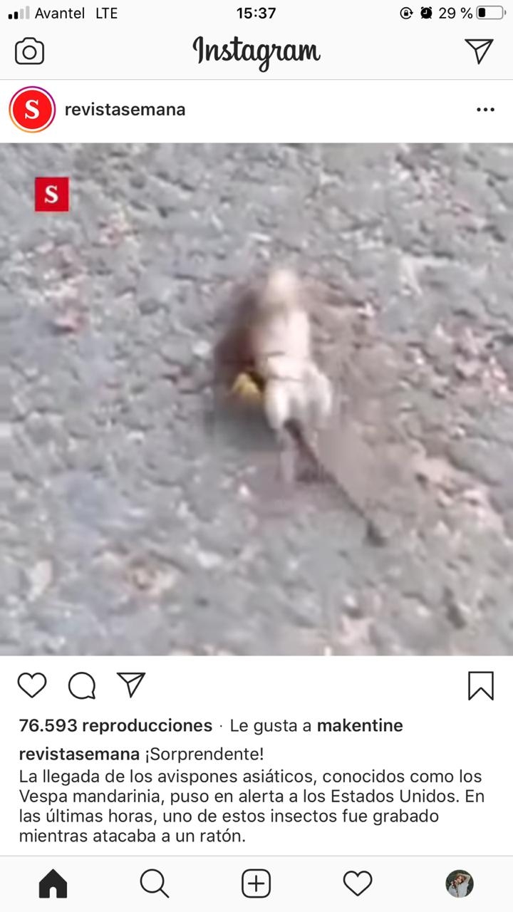 Revista Semana le estar&iacute;a dando la espalda al periodismo cr&iacute;tico