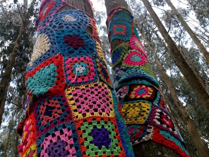 Tejidos en el parque San Jer&oacute;nimo de Yuste
