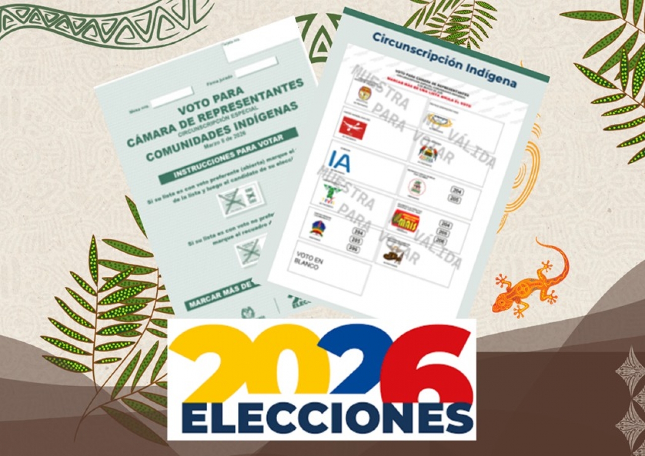Elecciones 2026, C&aacute;mara Ind&iacute;gena Circunscripci&oacute;n Especial Ind&iacute;gena.|||
