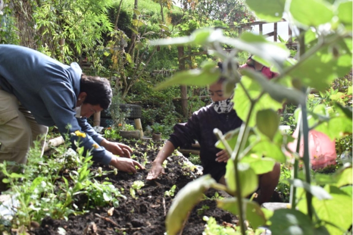Proceso comunitario de huerta en el proyecto Huertop&iacute;a