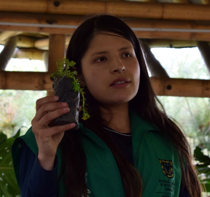 Instructora del Jard&iacute;n Bot&aacute;nico