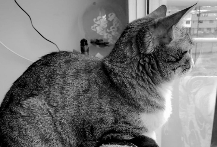 [Parte I] Retratos de amigos que perciben la vulnerabilidad humana. En la imagen: Sasha en su lugar favorito: el balc&oacute;n.