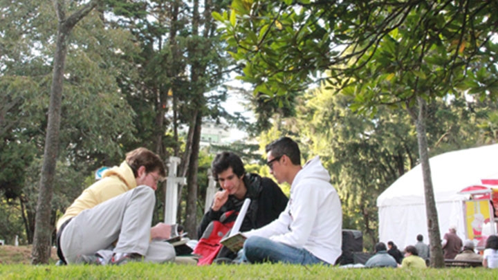 Bajo la sombra de los &aacute;rboles