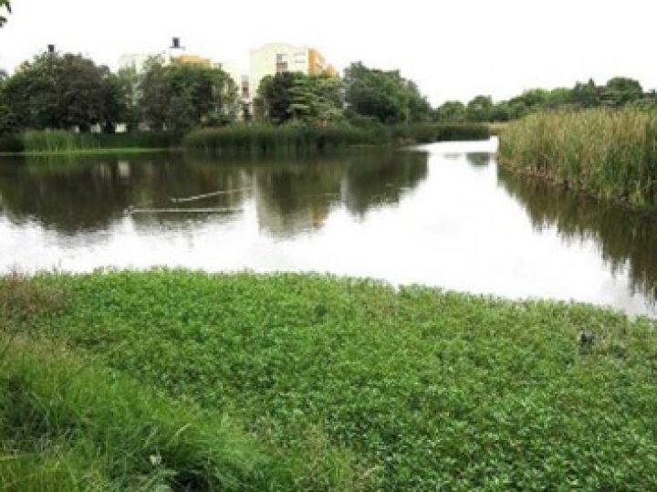 Humedal Santa Mar&iacute;a del Lago