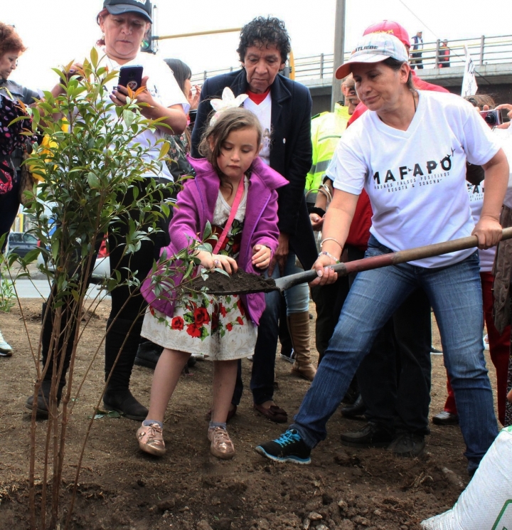 Prefirieron sembrar &aacute;rboles como muestra de vida en lugar de la construcci&oacute;n del monumento.