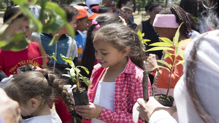 &lsquo;Sembratones&rsquo;, tutela y plant&oacute;n para solucionar el problema ambiental