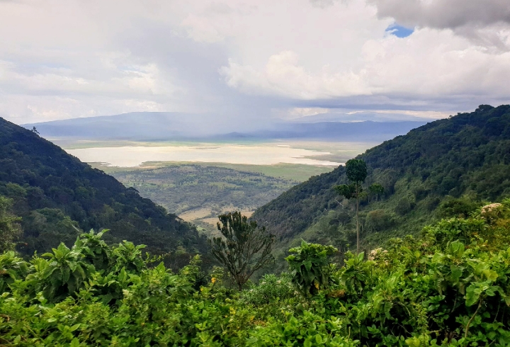 Cr&oacute;nica desde el cr&aacute;ter Ngorongoro, la caldera volc&aacute;nica m&aacute;s grande del mundo