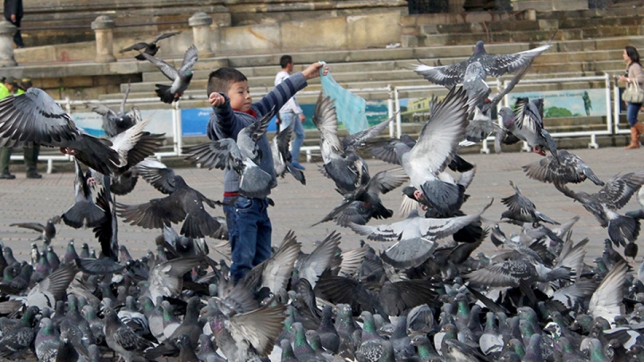 Regocijo en la Plaza de Bol&iacute;var