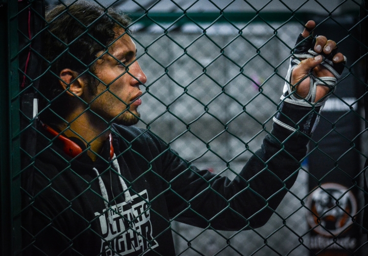 Cr&oacute;nica de un guerrero