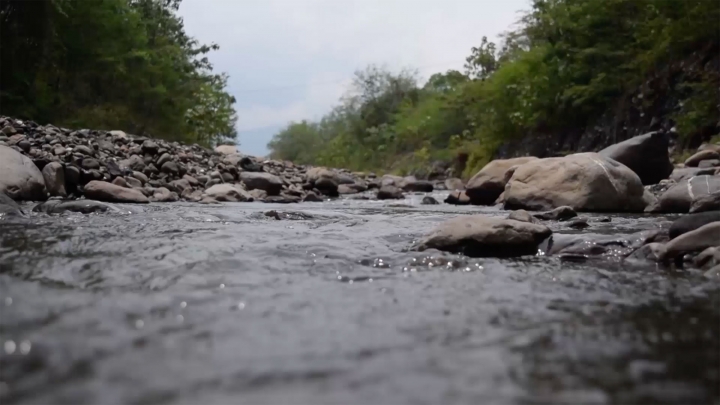 &Uacute;tica, siete a&ntilde;os despu&eacute;s del desastre