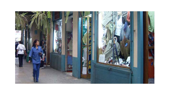 El &eacute;xito del Pasaje Hern&aacute;ndez fue un ejemplo a seguir por sus vecinos, quienes perforaron la manzana y dieron origen a una serie de pasajes comerciales que caracterizaron la zona.