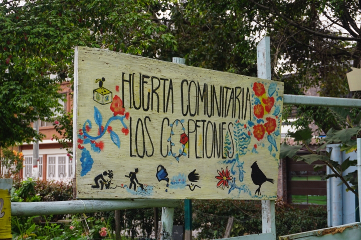 Huerta comunitaria "Los Copetones"