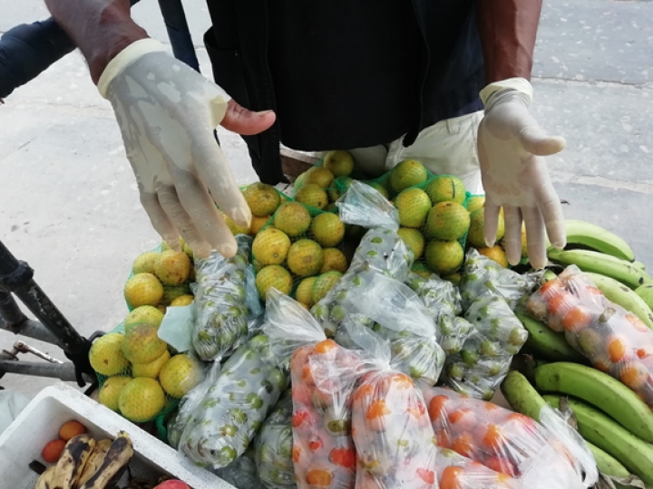 &iquest;Trabajo o hambre? El dilema de los carromuleros en Barranquilla