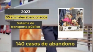 Abandono de animales en el Sistema de Transporte Público|||