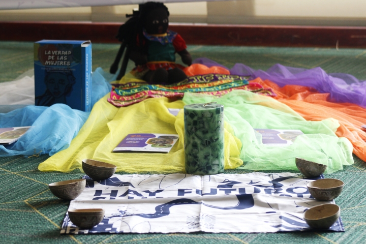 Informe revela bajo cumplimiento del Acuerdo de Paz para las mujeres en los territorios