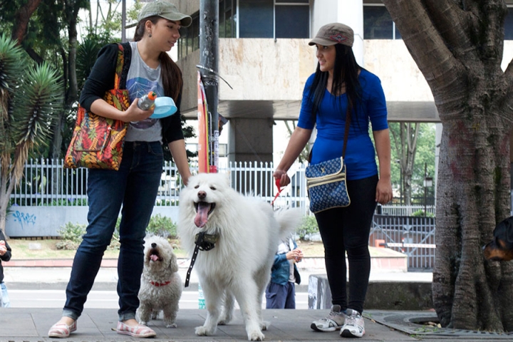 Los 'peludos'  participaron en la movilizaci&oacute;n que se promovi&oacute; en redes sociales.