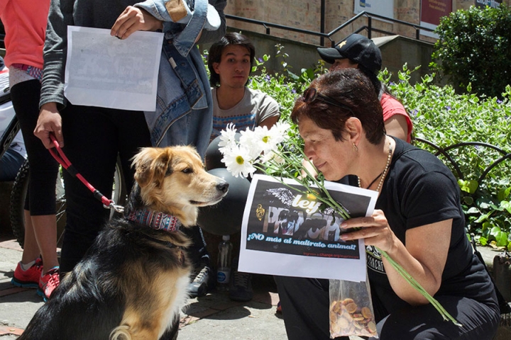 Marina Isaza, due&ntilde;a de Pr&iacute;ncipe, comparti&oacute; un momento con todas las mascotas que acompa&ntilde;aron su causa.