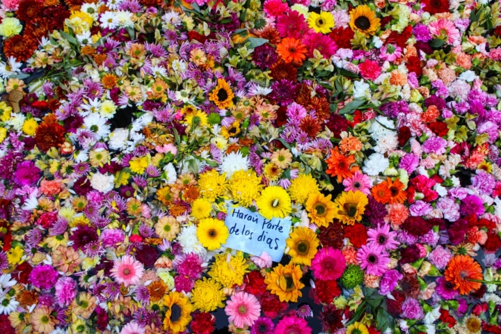 Los habitantes y visitantes del centro de Bogotá pararon sus actividades por un momento para tomarse fotos