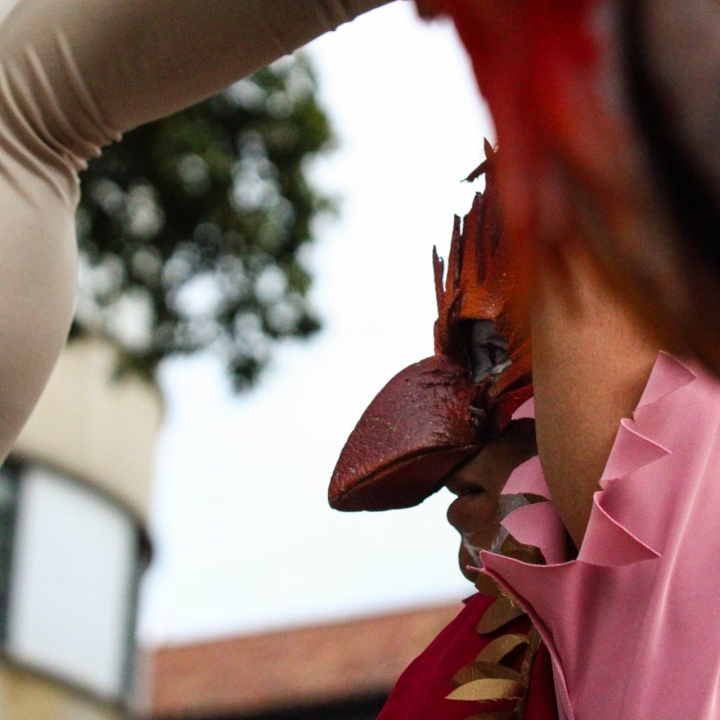 La Bienal de Bogot&aacute; ofrece diferentes espacios y comparsas