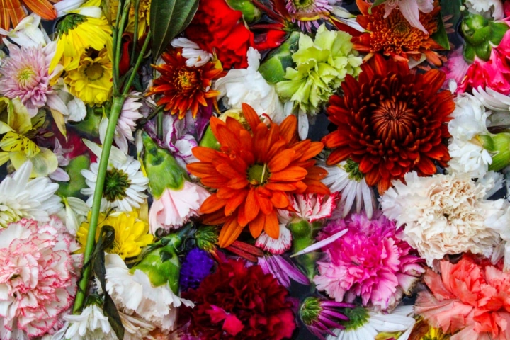 Todas las flores que se usaron para esta muestra artística eran de industria colombiana