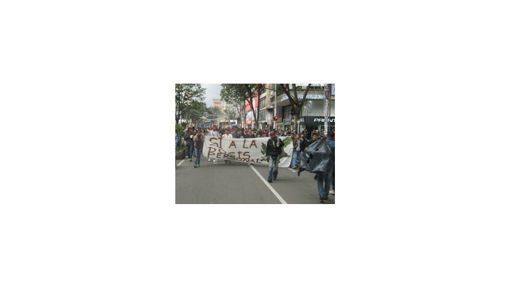 Marcha a favor de la legalizaci&oacute;n noviembre 2013