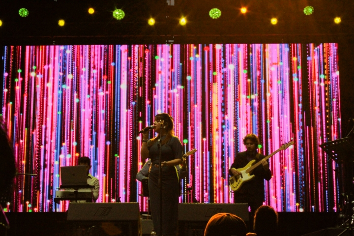 Camila Ba&ntilde;ados un artista chilena influyente de este g&eacute;nero