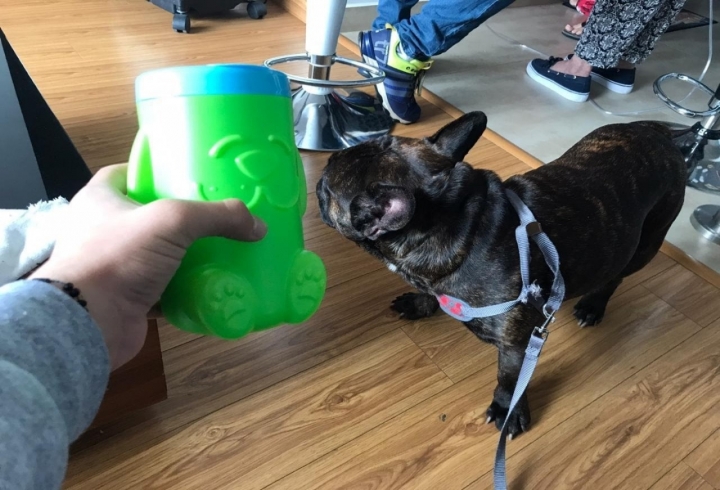 Pa&ntilde;itos de limpieza