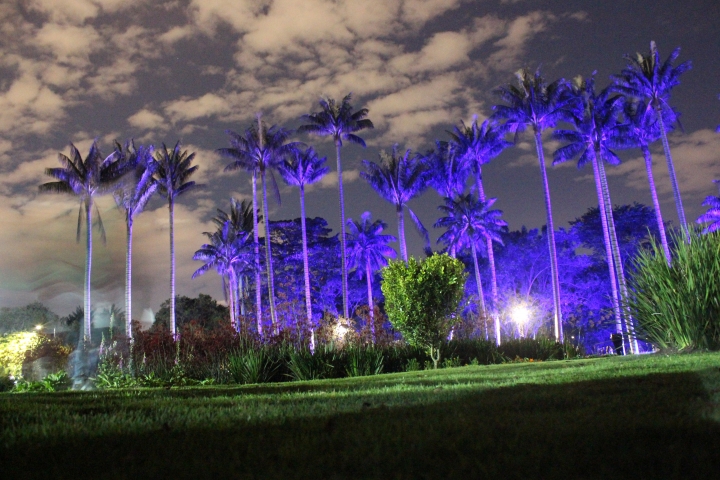 Luces, poes&iacute;a, charlas y caminatas son algunas de las actividades a desarrollar en &ldquo;Jard&iacute;n de Noche&rdquo;