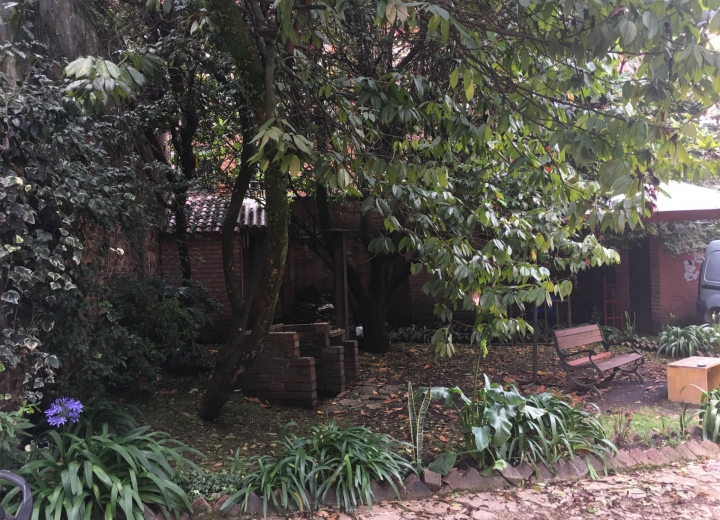 El eslab&oacute;n clave de las letras