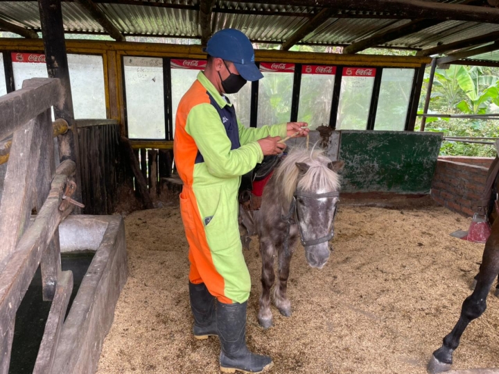 Mart&iacute;n Fl&oacute;rez de 31 a&ntilde;os, es el encargado de cuidar a los caballos, ponys y llamas. Lleva 4 a&ntilde;os trabajando en el Refugio.