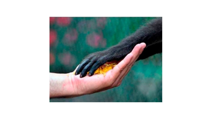 Foto nominada al Premio Nacional de Periodismo Universitario Orlando Sierra, en la categor&iacute;a Periodismo gr&aacute;fico y multimedial.