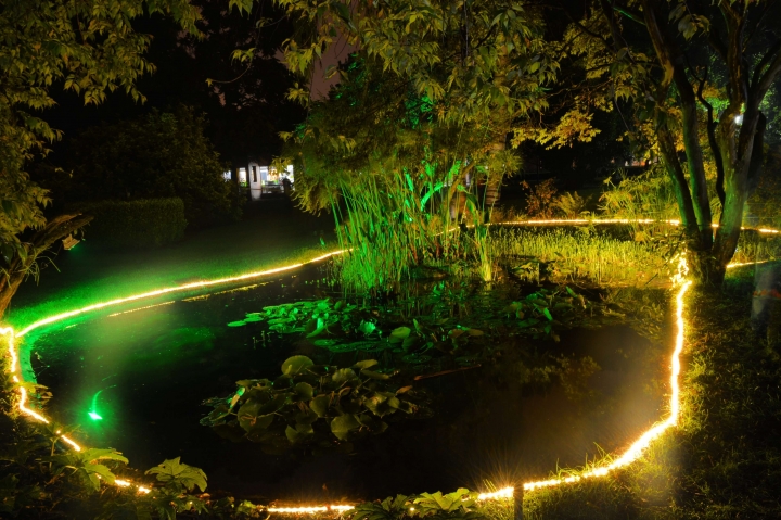 As&iacute; fue el primer Jard&iacute;n Bot&aacute;nico Nocturno del 2017