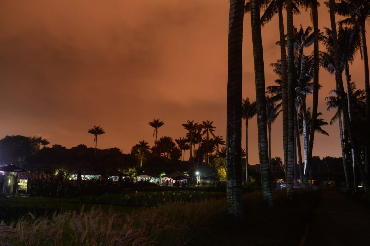 As&iacute; fue el primer Jard&iacute;n Bot&aacute;nico Nocturno del 2017