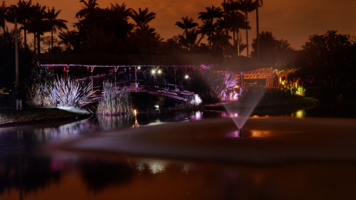 As&iacute; fue el primer Jard&iacute;n Bot&aacute;nico Nocturno del 2017
