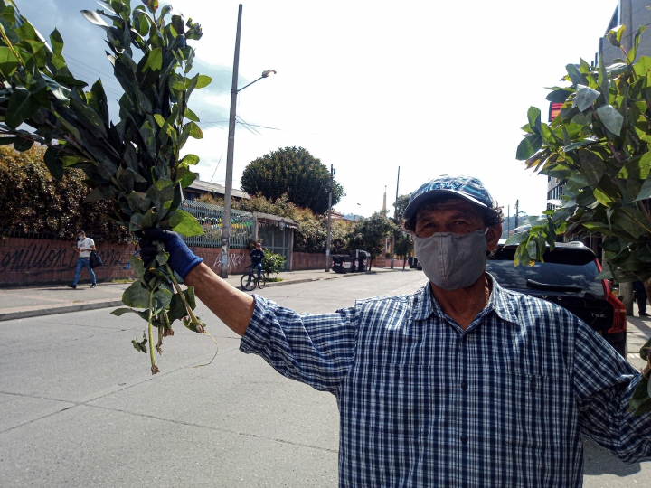 Foto: La mayor&iacute;a de los vendedores informales, a pesar del aislamiento preventivo, siguen en las calles para conseguir su sustento diario.